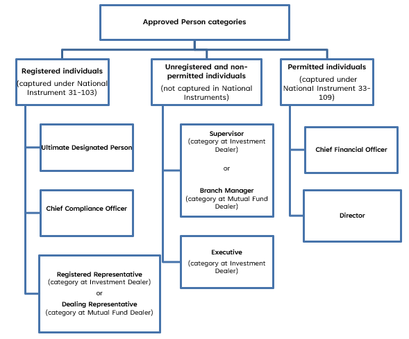 This image shows the classification of approved persons into three main categories: Registered Individuals (captured under National Instrument 31-103), Unregistered and Non-Permitted Individuals (not captured in National Instruments), and Permitted Individuals (captured under National Instrument 31-103). Registered Individuals are categorized as Ultimate Designated Person, Chief Compliance Officer, Registered Representative (category at Investment Dealer), or Dealing Representative (category at Mutual Fund Dealer). Unregistered and Non-Permitted Individuals are categorized as Supervisors (category at Investment Dealer), or Branch Managers (category at Mutual Fund Dealer), and Executives (category at Investment Dealer). Permitted Individuals are categorized as the Chief Financial Officer and Director.